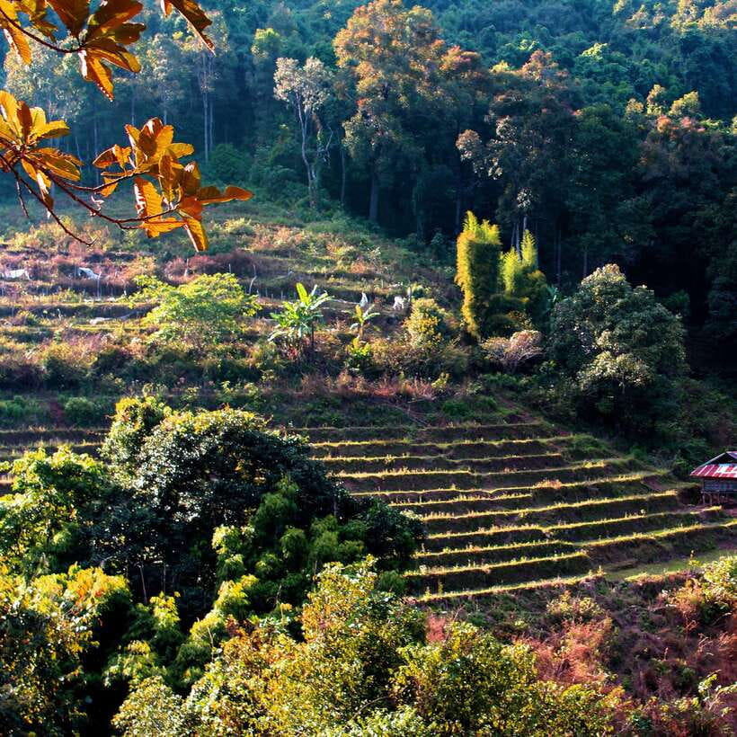 Eco-Friendly: Doi Inthanon & Pha Dok Siew Trekking Day Trip - The Real Timeline: Pickup to Return Without the Chaos