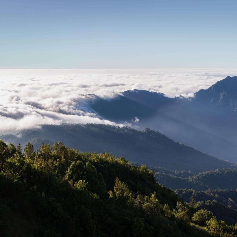 Eco-Friendly: Doi Inthanon & Pha Dok Siew Trekking Day Trip - King and Queen Pagodas at Doi Inthanon: Where the Wind Makes It Worth It