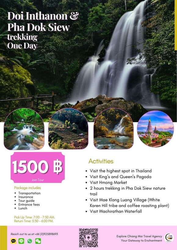 Eco-Friendly: Doi Inthanon & Pha Dok Siew Trekking Day Trip - Inside the Forest Trek: Pha Dok Siew Nature Trail for the Walk-Enjoyers