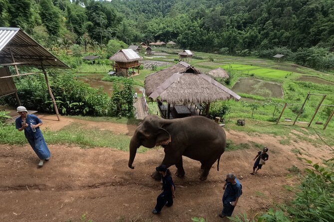 Elephant care program at CHIANGMAI ELEPHANT CARE - The Mahout-style uniform: why you’ll want it