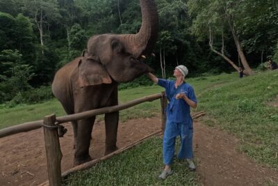 Elephant care program at CHIANGMAI ELEPHANT CARE - Morning logistics in Chiang Mai: pickup, van comfort, and timing