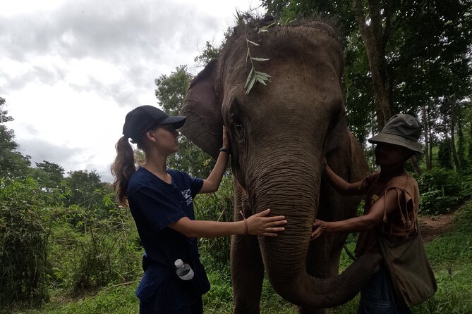Elephant care program at CHIANGMAI ELEPHANT CARE - Guides you might meet: the difference between a passable and a great day
