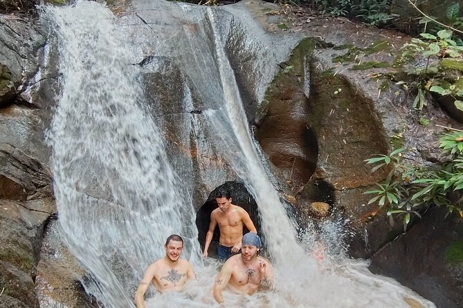 Elephant Experience and Hidden Jungle Waterfall Chiang Mai - Key highlights worth planning around