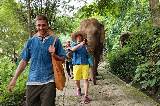 Elephant Experience and Hidden Jungle Waterfall Chiang Mai - Ethics Check: The Questions I’d Ask Before Booking
