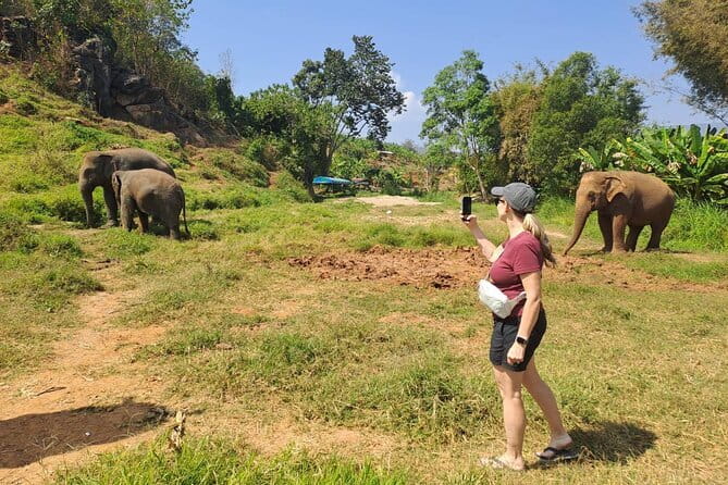 Elephant Sanctuary, Wat Ban Den & Sticky Waterfall - Should You Book This Tour or Skip It?