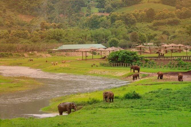 Elephant Sanctuary + Waterfall + Bamboo Rafting One Day Trip - A One-Day Mae Wang Mix: Elephants, Falls, and Rafts in One Ride