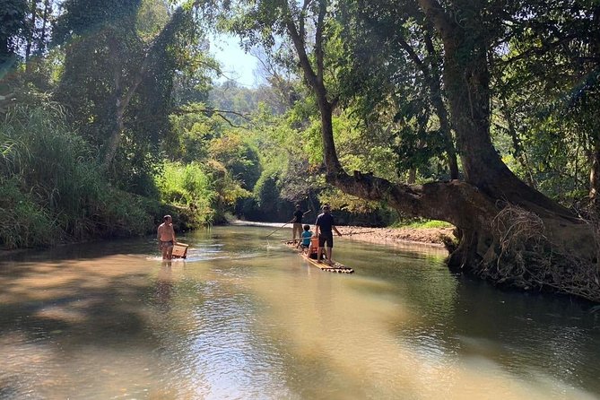 Elephant Sightings , Bamboo Rafting Through The Jungle, Swimming In a Waterfall - Who This Tour Fits Best in Chiang Mai