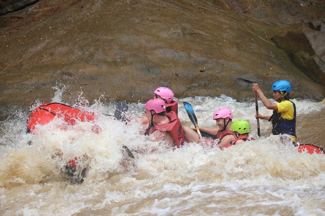 Ethical Elephant Visit and White Water Rafting in Chiang Mai - Key highlights to know before you go
