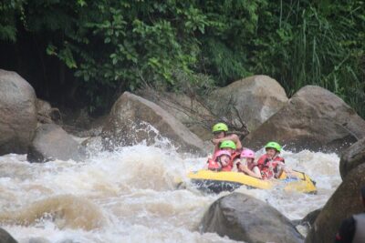 Ethical Elephant Visit and White Water Rafting in Chiang Mai - E-co Adventure Camp: feeding, walking, and elephant river play