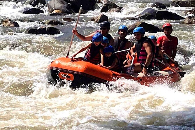 Ethical Elephant Visit and White Water Rafting in Chiang Mai - Small-group format and pickup that keeps things simple