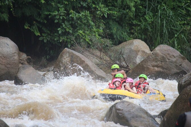 Ethical Elephant Visit and White Water Rafting in Chiang Mai - E-co Adventure Camp: feeding, walking, and elephant river play
