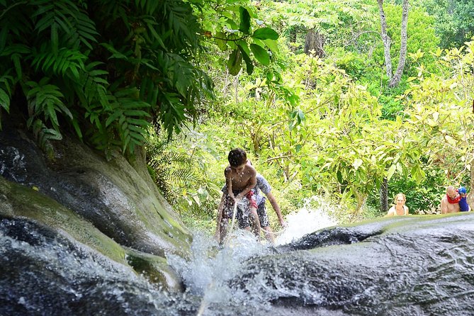 Experience Elephant Sanctuary + Sticky Waterfall - Transport and guides: door-to-door ease, plus small-group realities