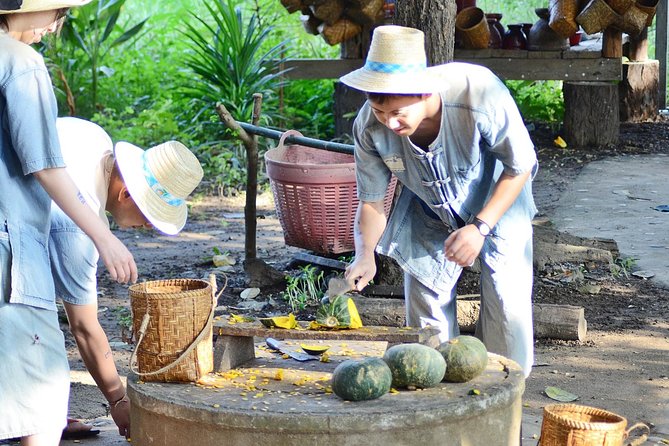 Experience Elephant Sanctuary + Sticky Waterfall - Price and value check: is $94.11 worth it?