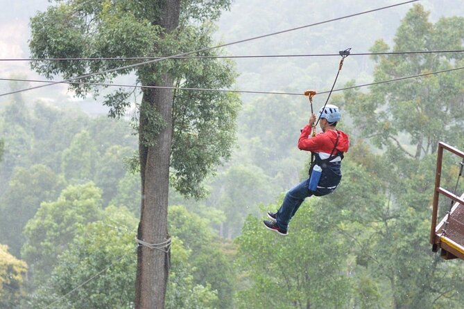 Extream Zipline @ Kingkong Smile and Dip in Hot Spring - Kingkong Smile zipline: 36 platforms, 14 double cables, and big air