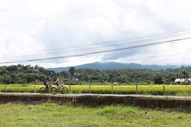 FIELDS OF GOLD Mountain Biking Tour Chiang Mai - A 7-hour Chiang Mai ride that mixes farm roads and Mok Fa Waterfall