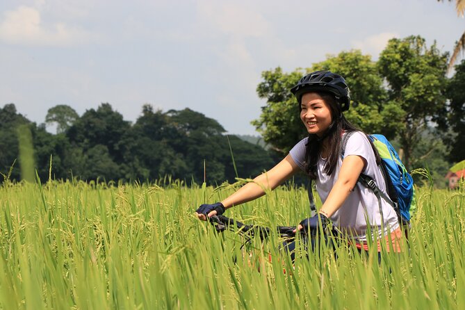 FIELDS OF GOLD Mountain Biking Tour Chiang Mai - Distance and trail type: what 40–57 miles feels like