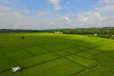 FIELDS OF GOLD Mountain Biking Tour Chiang Mai - The bike and safety setup: what you get and why it matters