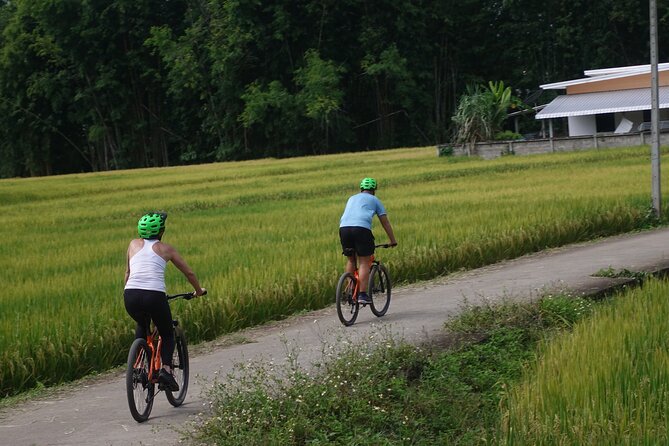 FIELDS OF GOLD Mountain Biking Tour Chiang Mai - Stop 1: Mok Fa Waterfall and the built-in swim break