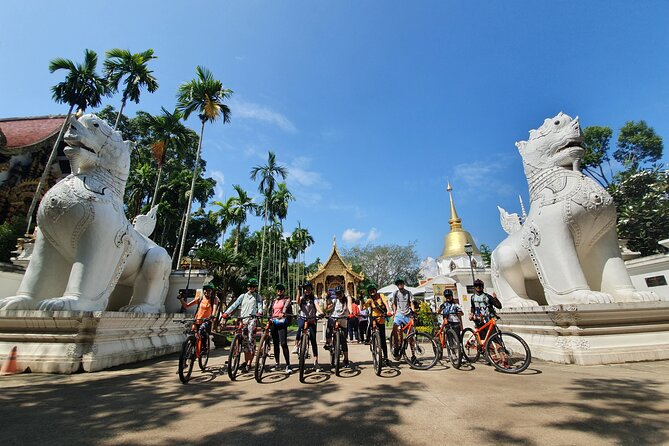 FIELDS OF GOLD Mountain Biking Tour Chiang Mai - Pickup, group size, and how the day stays relaxed