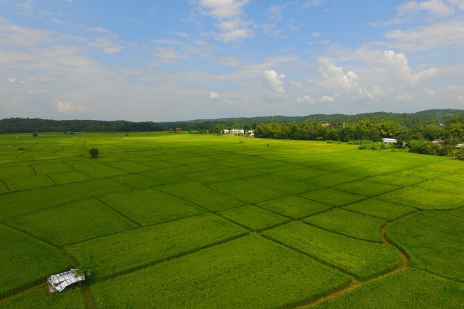 FIELDS OF GOLD Mountain Biking Tour Chiang Mai - The bike and safety setup: what you get and why it matters