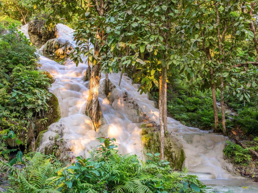 From Chiang Mai: Chiang Dao Cave Trekking Full-Day Tour - Key Things to Know Before You Go