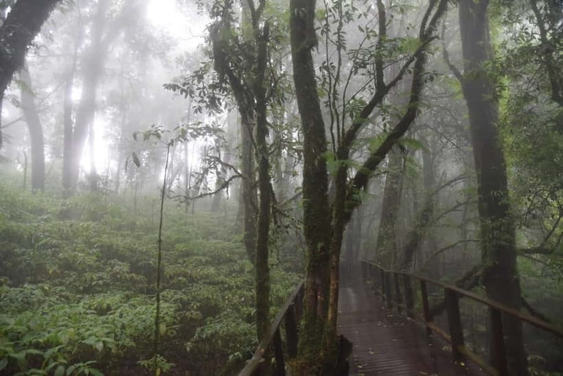 From Chiang Mai: Doi Inthanon National Park Day Trip - Quick hits: what you’ll notice most