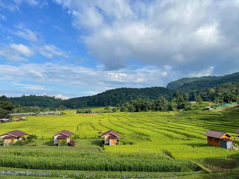 From Chiang Mai: Doi Inthanon National Park Day Trip - Hmong hill-tribe market: crafts, fruit, and everyday life