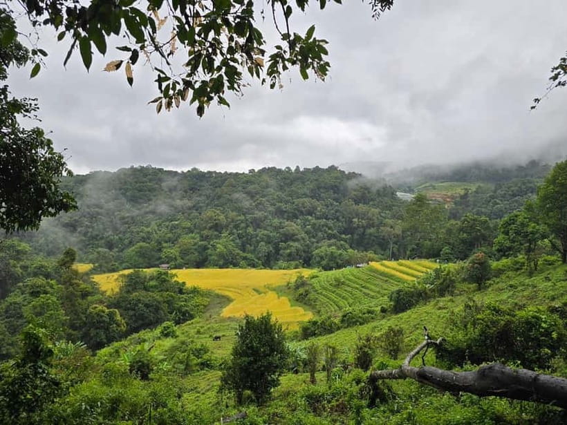 From Chiang Mai: Doi Inthanon National Park Day Trip - Sirithan Waterfall: a 40-meter cascade in misty forest