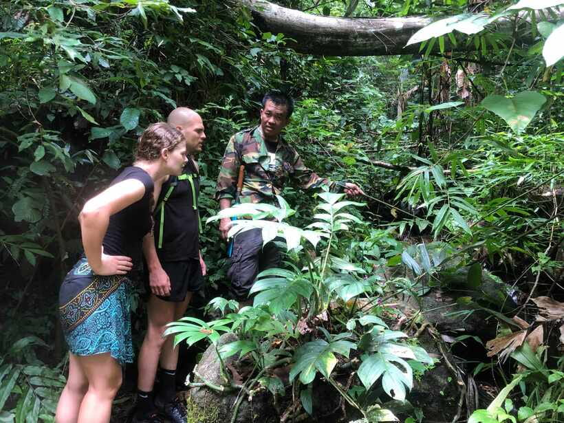 From Chiang Mai: Doi Saket Hiking Tour with Lunch - Key Highlights You’ll Care About