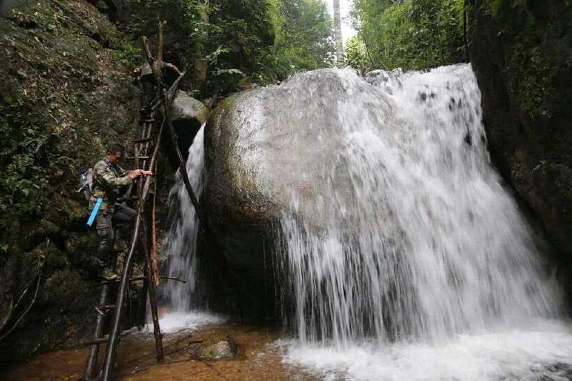 From Chiang Mai: Doi Saket Hiking Tour with Lunch - The Main Trek: Ancient Trees, Technical Steps, and Wildlife Soundtrack