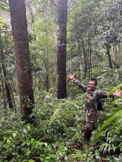 From Chiang Mai: Doi Saket Hiking Tour with Lunch - The Village Start: Herbs, Local Life, and a Different Kind of Trek