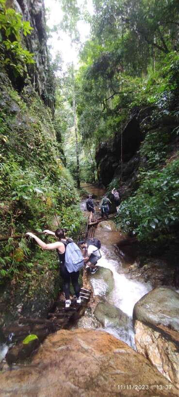 From Chiang Mai: Doi Saket Hiking Tour with Lunch - Lunch in the Jungle: Food You Don’t Just Eat, You Understand
