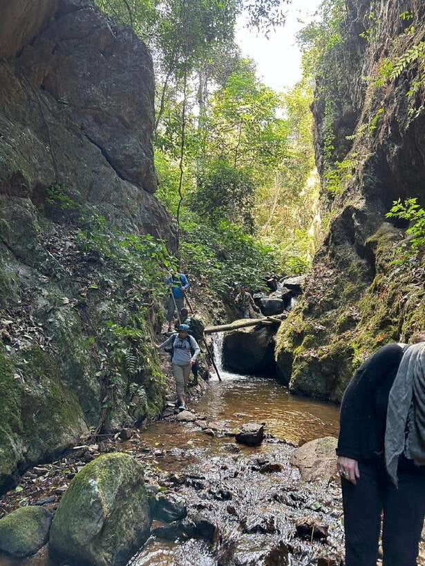 From Chiang Mai: Doi Saket Hiking Tour with Lunch - Price and Value: Is $57 Worth It?