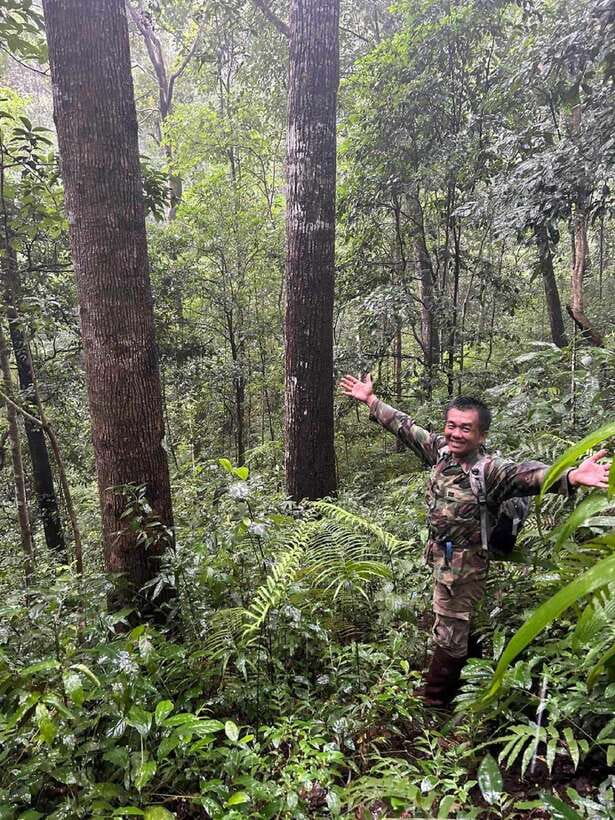 From Chiang Mai: Doi Saket Hiking Tour with Lunch - The Village Start: Herbs, Local Life, and a Different Kind of Trek