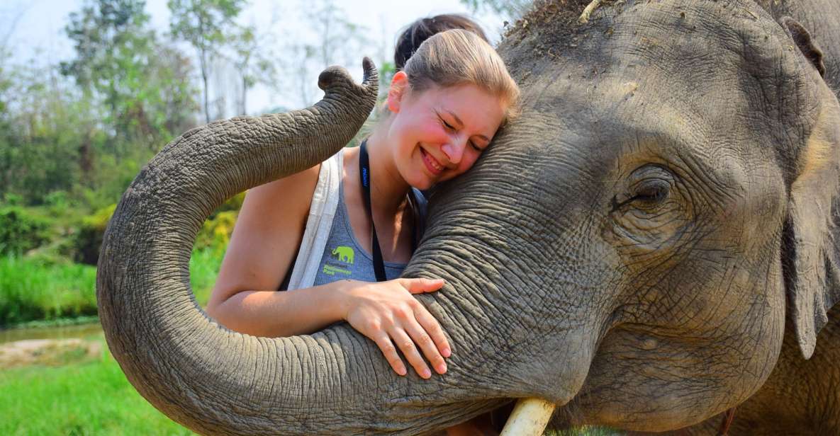 From Chiang Mai: Elephant Care Program and Nursery Tour - From Chiang Mai pickup to Mae Tang countryside: the easy start