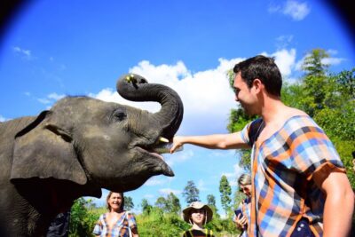 From Chiang Mai: Elephant Care Program and Nursery Tour - Changing into local clothes and learning how elephants communicate