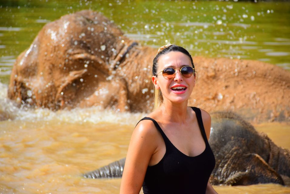 From Chiang Mai: Elephant Care Program and Nursery Tour - Mud pool, sand spa, and baby elephants: the highlight that can’t be rushed