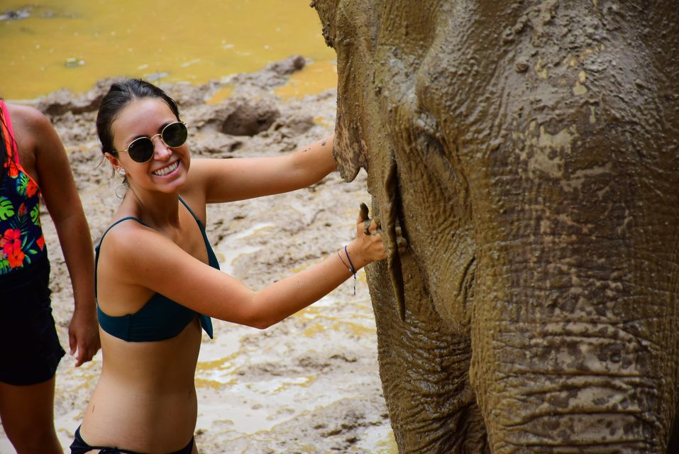 From Chiang Mai: Elephant Care Program and Nursery Tour - Washing and shower time: how the care continues after the splashes