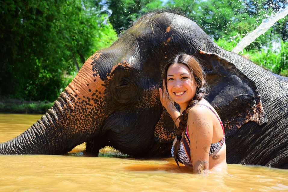 From Chiang Mai: Elephant Care Program and Nursery Tour - Thai buffet lunch after the elephants: where you refuel and cool down