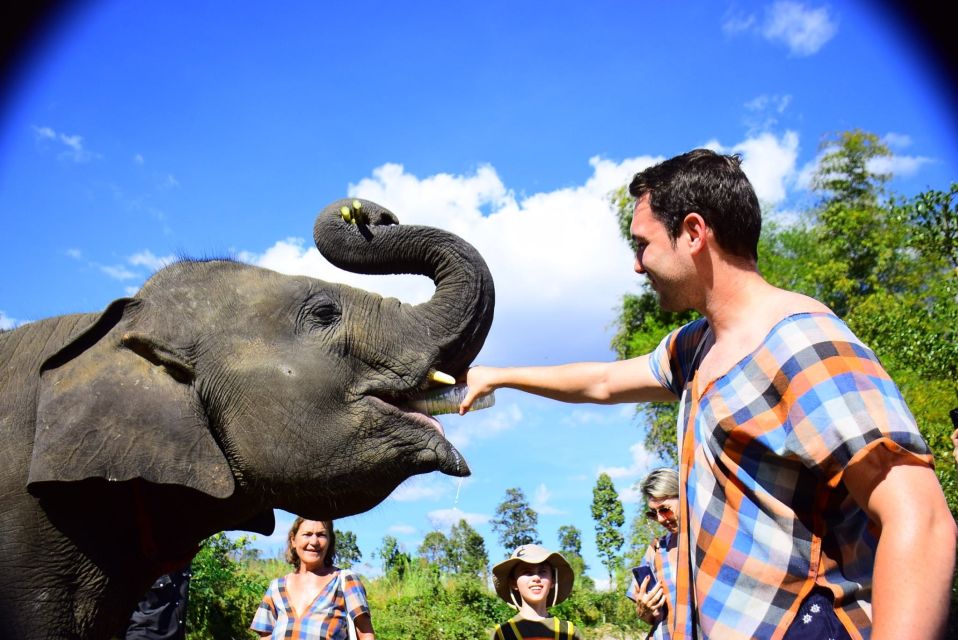 From Chiang Mai: Elephant Care Program and Nursery Tour - Changing into local clothes and learning how elephants communicate
