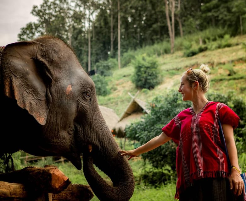 From Chiang Mai: Kerchor Eco Elephant Park Tour - The welcome talk: what you learn before you meet the elephants
