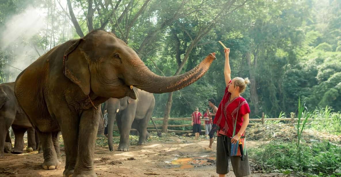 From Chiang Mai: Kerchor Eco Elephant Park Tour - Getting from Chiang Mai to the park without turning the day into a slog