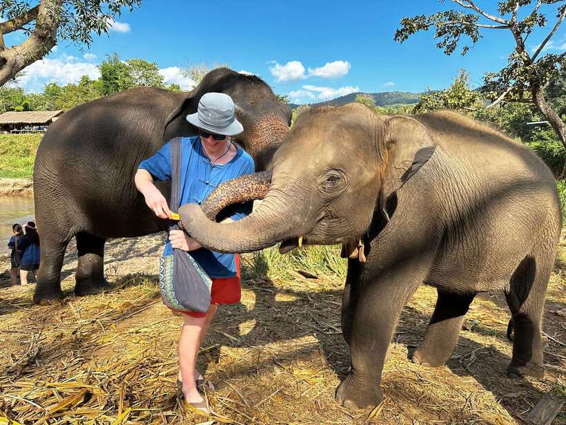 From Chiang Mai: Living Green Elephant Sanctuary Tour - Key things that make this sanctuary tour special