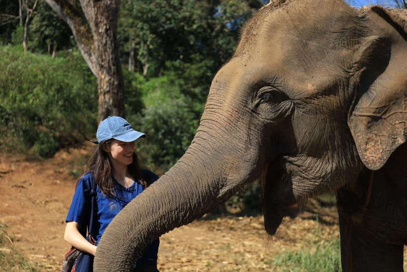 From Chiang Mai: Living Green Elephant Sanctuary Tour - Before you go: pack for wet clothes and Thai sun