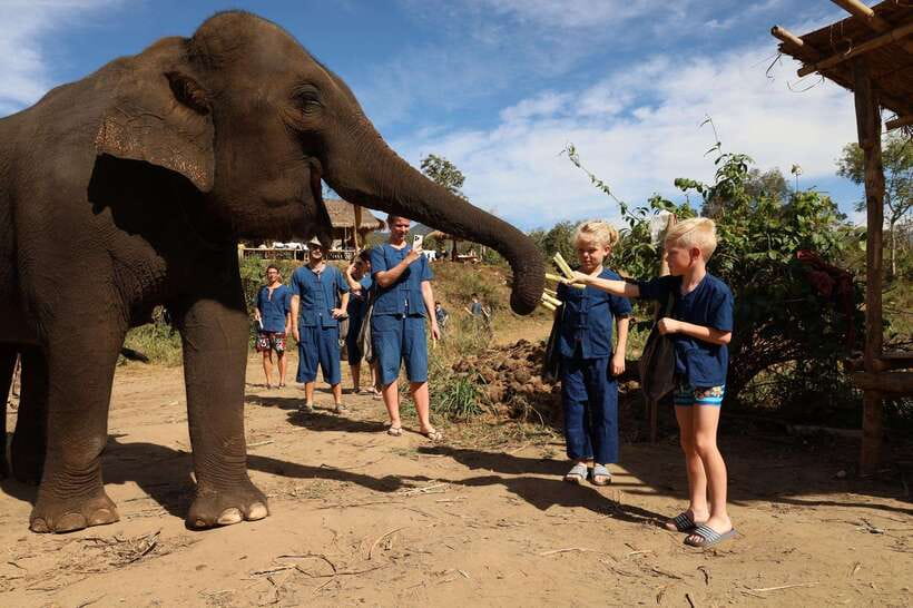 From Chiang Mai: Living Green Elephant Sanctuary Tour - Entering the sanctuary day in Mo Hom northern clothing