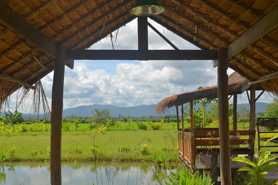 From Chiang Mai: Mae Taeng Valley and Waterfalls Cycle Tour - A full day north of Chiang Mai, built around an easy rhythm