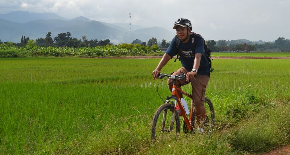 From Chiang Mai: Mae Taeng Valley and Waterfalls Cycle Tour - Mae Taeng Valley farms: where the learning actually connects to the view