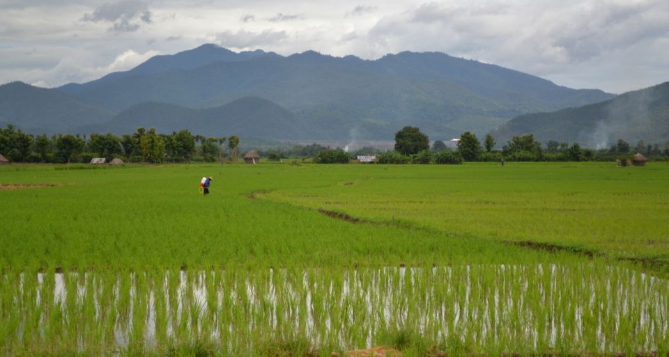 From Chiang Mai: Mae Taeng Valley and Waterfalls Cycle Tour - The Thai set lunch in a tropical garden