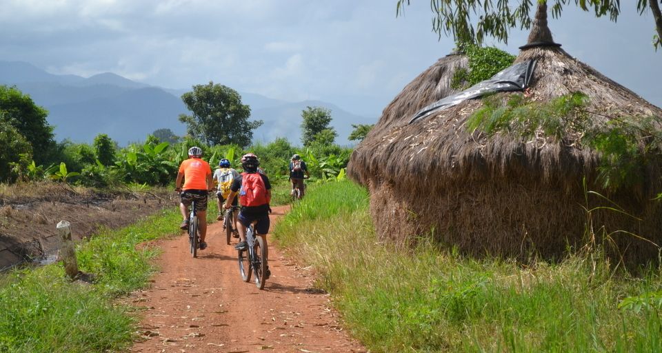 From Chiang Mai: Mae Taeng Valley and Waterfalls Cycle Tour - Bua Thong sticky waterfalls: the cool-down everyone talks about