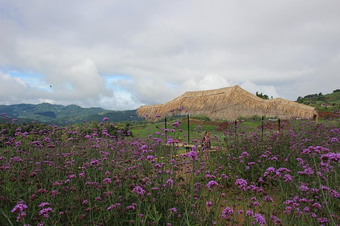 Fruiful Oneday! Trip outskirt of a City from end to end - Key Things That Make This Outskirt Trip Worth Your Time